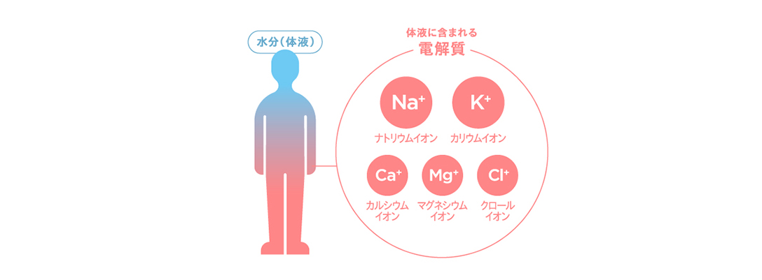 体液に含まれている電解質の図。ナトリウムイオン、カリウムイオン、カルシウムイオン、マグネシウムイオン、クロールイオン