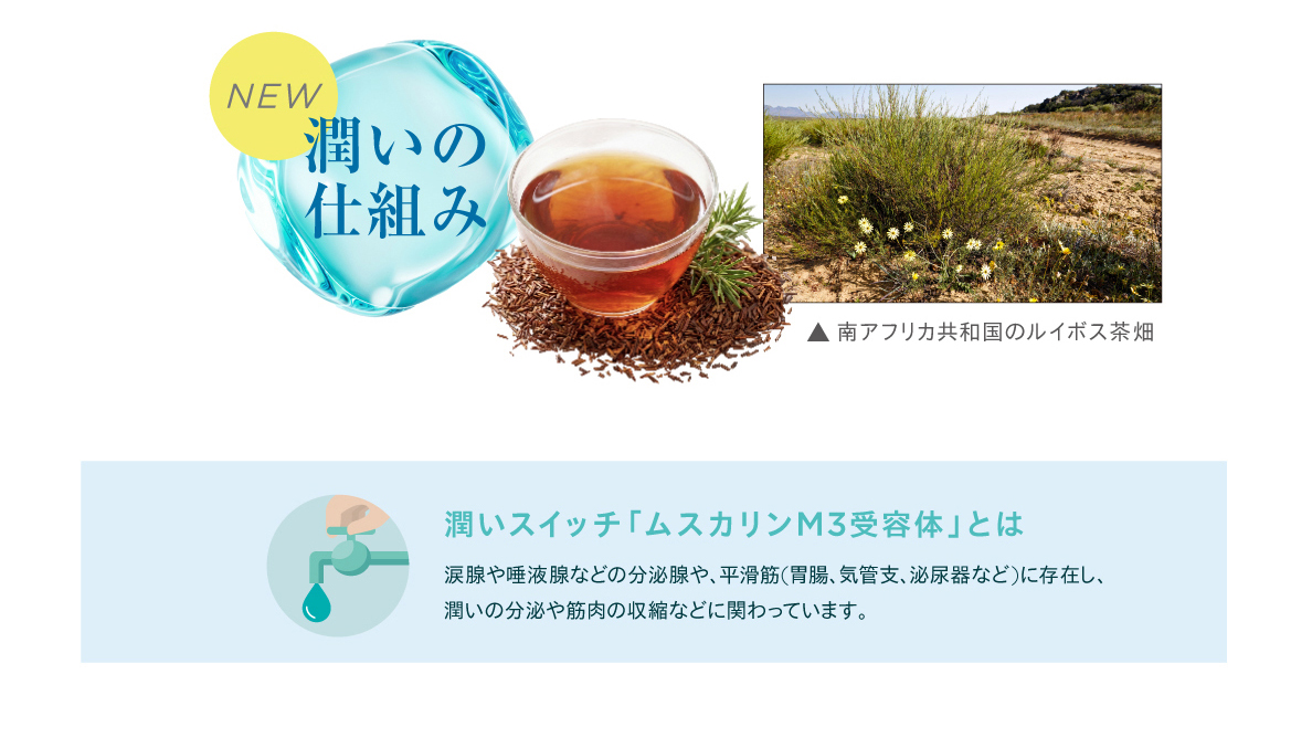 E6CG 潤いスイッチ「ムスカリンM3受容体」とは